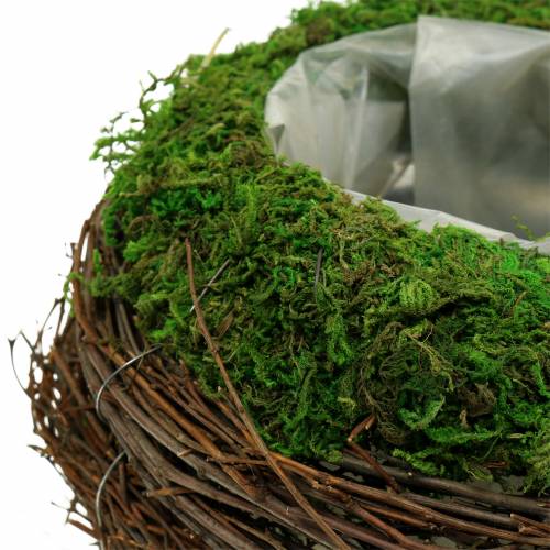Floristik24 Rattan miska na rośliny, mech Ø16cm W11cm