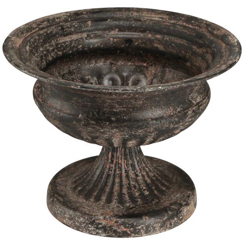 Floristik24 Kielich do filiżanek na rośliny Wygląd antyczny Czarny Brązowy Ø20cm W15cm