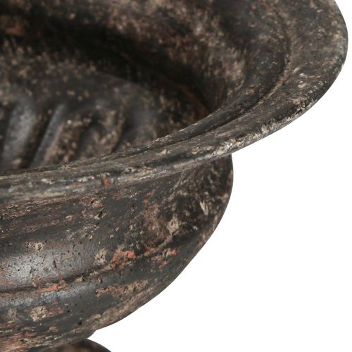 Produkt Kielich do filiżanek na rośliny Wygląd antyczny Czarny Brązowy Ø20cm W15cm