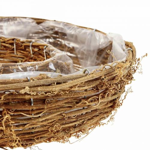 Floristik24 Pierścień do sadzenia winorośli, miska na rośliny Ø35/30cm zestaw 2 szt