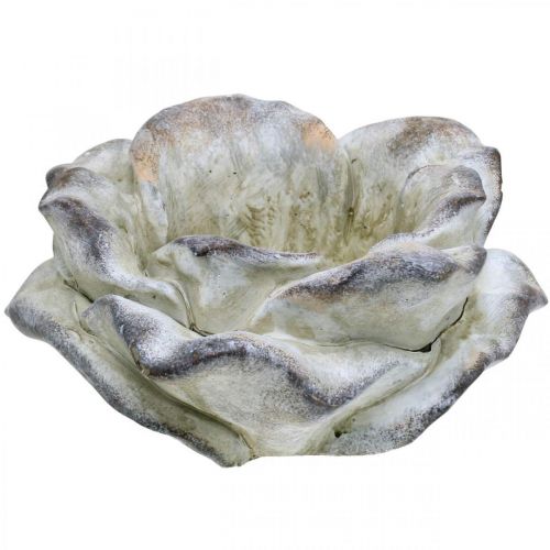 Floristik24 Betonowa Róża, Dekoracja Ogrodu, Roślina Róża, Kwiat Pogrzebowy Szary, Morelowy, Fioletowy Ø12cm L26,5cm H11cm
