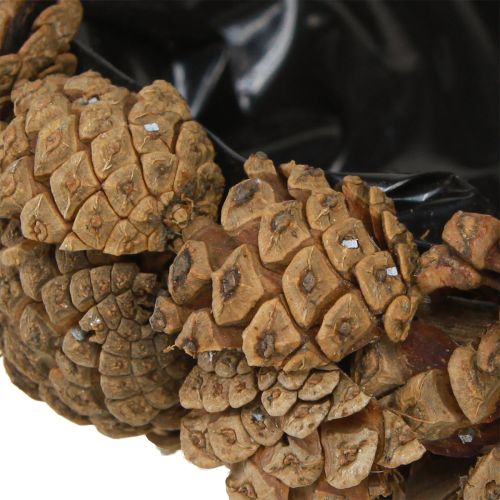 Floristik24 Donica na rośliny prawdziwe szyszki donica naturalna Ø28cm wys.9cm