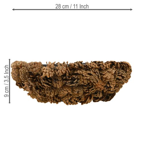 Floristik24 Donica na rośliny prawdziwe szyszki donica naturalna Ø28cm wys.9cm