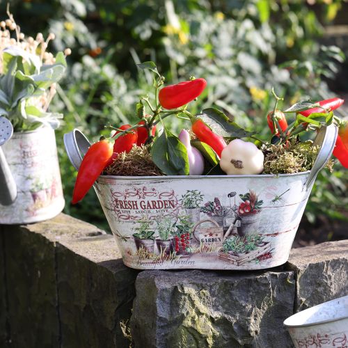 Produkt Doniczka metalowa owalna Fresh Garden 34,5x14x15,5cm