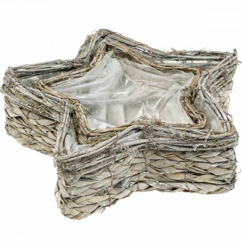 Produkt Miska na rośliny gwiazda, doniczka trawa morska Ø32/23,5cm zestaw 2 szt