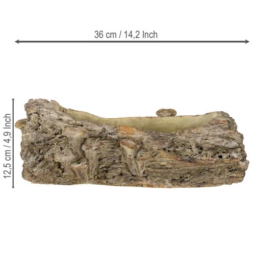 Produkt Doniczka z kamienia odlewanego, pień drzewa z grzybami 36×18×12,5cm