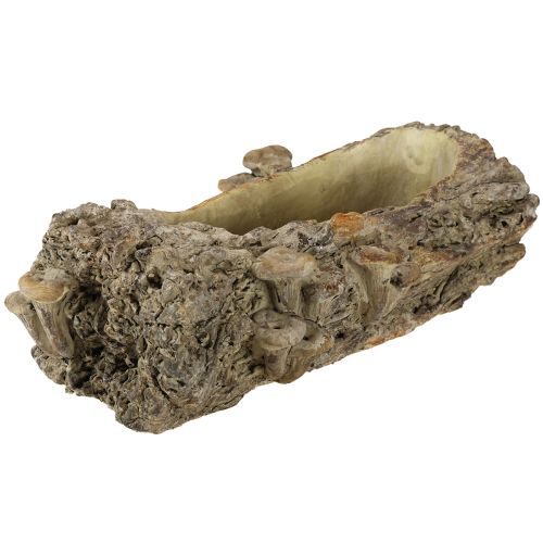 Produkt Doniczka z kamienia odlewanego, pień drzewa z grzybami 36×18×12,5cm