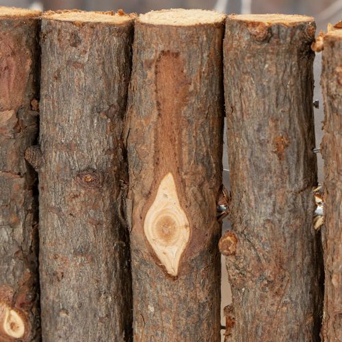 Produkt Miska do roślin kwadratowa naturalna brzoza gałązki 14,5/20cm zestaw 2