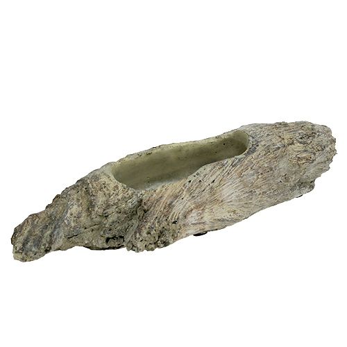 Floristik24 Pojemnik na sukulenty 24,5cm x 8,5cm H5,5cm