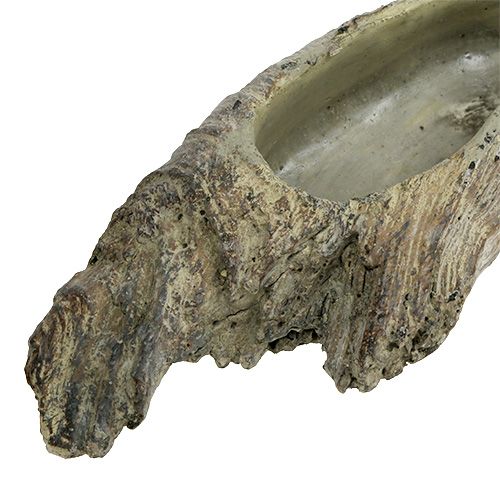 Floristik24 Pojemnik na sukulenty 24,5cm x 8,5cm H5,5cm