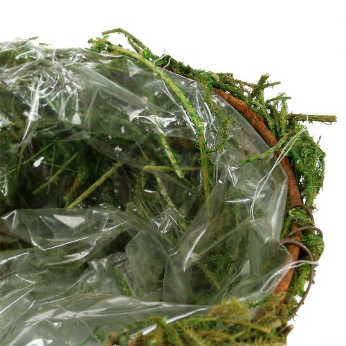 Floristik24 Misa z mchem Ø16cm H9cm - 10cm Zielona 3szt.