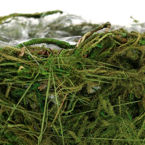 Floristik24 Misa z mchem Ø16cm H9cm - 10cm Zielona 3szt.