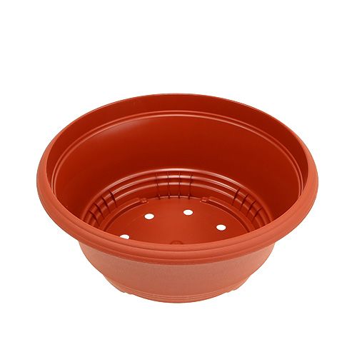 Produkt Plastikowa miska do sadzenia Ø20cm terakota 1 szt