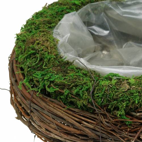 Floristik24 Rattan miska na rośliny, mech Ø26cm W9cm