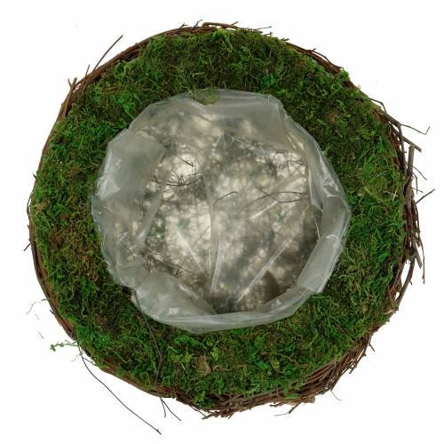 Floristik24 Rattan miska na rośliny, mech Ø26cm W9cm