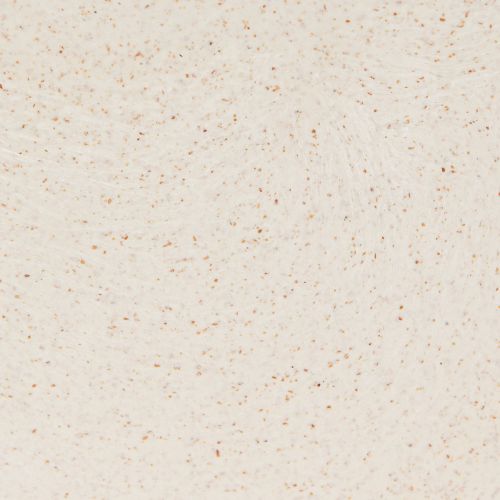 Produkt Plastikowa miska łódka na rośliny beżowa 24×10×15cm 3szt