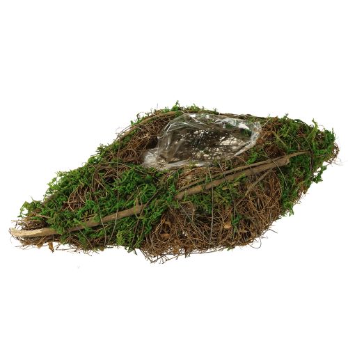 Sadzenie winorośli w kształcie łodzi i miski z mchem 31×17×6 cm
