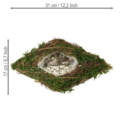Produkt Sadzenie winorośli w kształcie łodzi i miski z mchem 31×17×6 cm