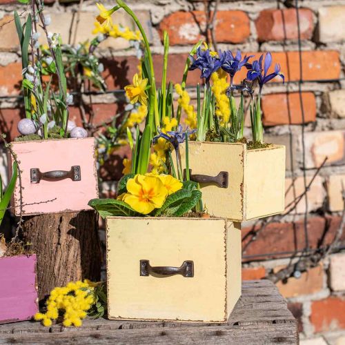 Floristik24 Szuflada na rośliny skrzynka na rośliny drewniana żółta 12,5/16cm zestaw 2 szt