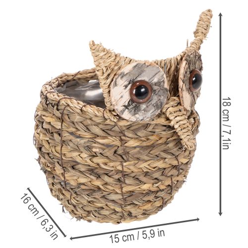 Ręcznie tkany koszyk z sową, ozdoba na parapet, 18 cm | Floristik24.pl