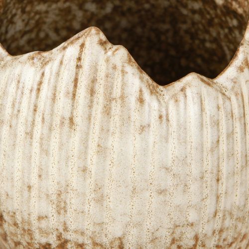 Produkt Doniczka ceramiczna jajko rozbite kremowo-brązowe Ø9,5cm 3 szt