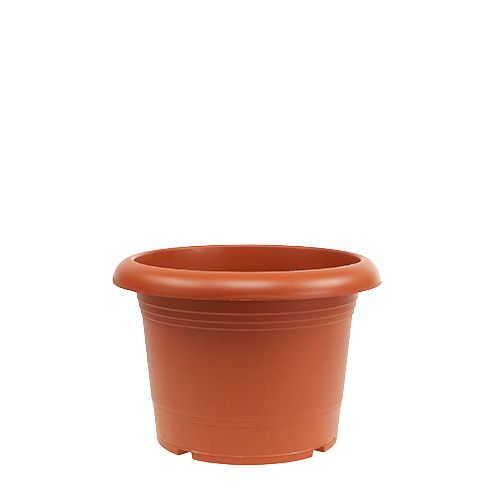 Floristik24 Doniczka "Oliver" terakota Ø15cm