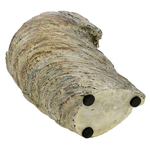 Floristik24 Doniczka na rośliny Pień drzewa Ø11,5cm H14cm 2szt.