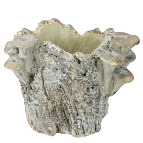 Doniczka kamienna z grzybami, pień drzewa 16 cm