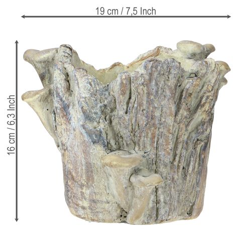 Produkt Doniczka kamienna z grzybami, pień drzewa 16 cm
