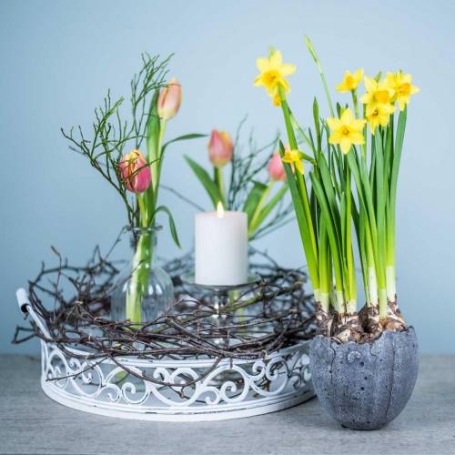 Floristik24 Doniczka na rośliny Jajko Miska Ø12cm H11,5cm 6szt