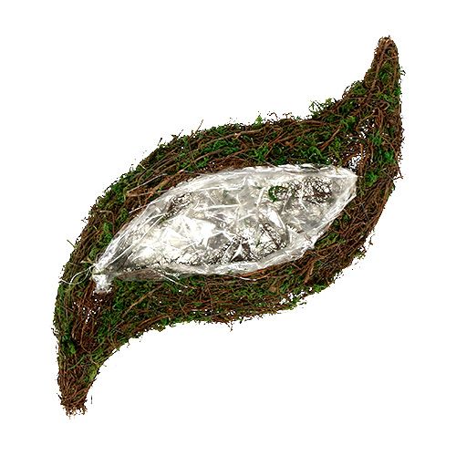Floristik24 Roślina falista, mech 45cm x 18cm H7cm
