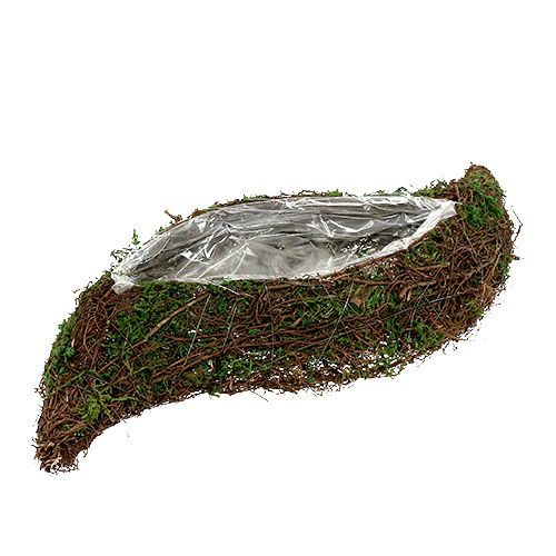 Floristik24 Roślina falista, mech 45cm x 18cm H7cm