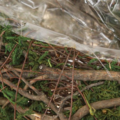 Produkt Mała doniczka na rośliny Plant Wave Vines z mchem, 31×15×7 cm