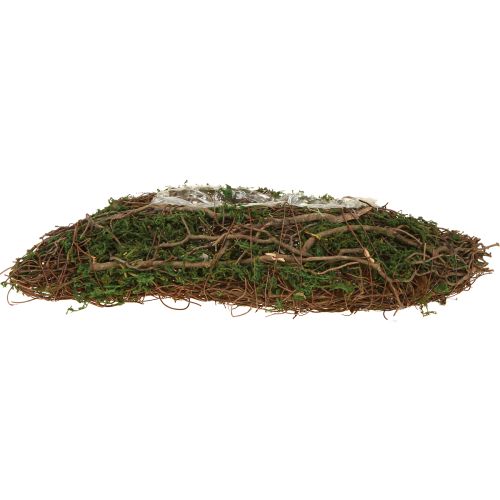 Produkt Mała doniczka na rośliny Plant Wave Vines z mchem, 31×15×7 cm