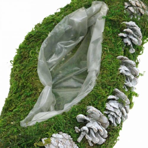 Floristik24 Planter Mech i Szyszki Wave Green, White Washed 41×15cm