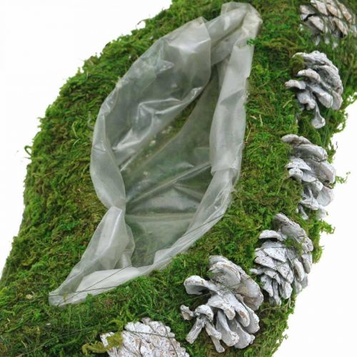 Produkt Planter Mech i Szyszki Wave Green, White Washed 41×15cm