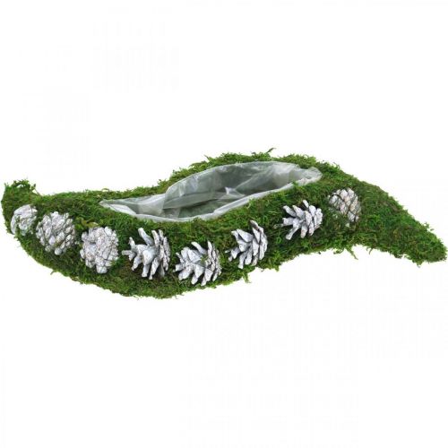 Floristik24 Planter Mech i Szyszki Wave Green, White Washed 41×15cm