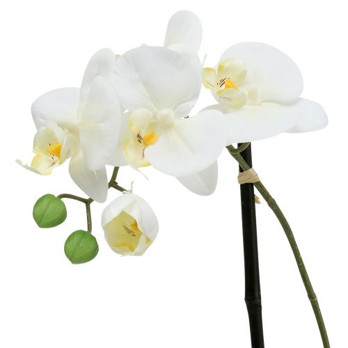 Produkt Phalaenopsis biały w misie dekoracja kwiatowa H38cm