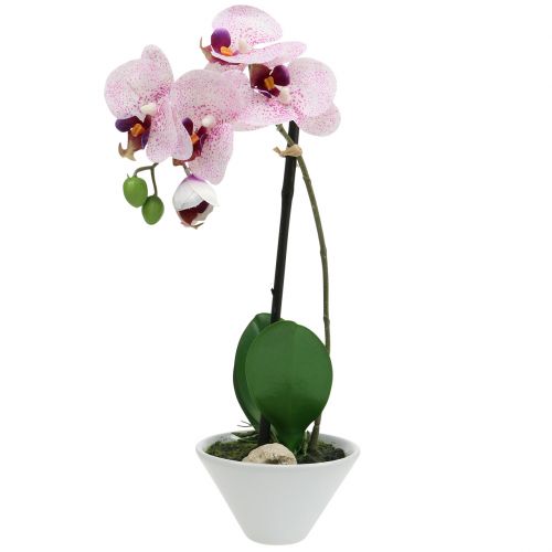 Floristik24 Sztuczny Phalaenopsis fioletowo-biały w misie H38cm