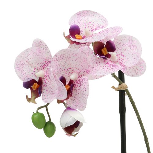 Floristik24 Sztuczny Phalaenopsis fioletowo-biały w misie H38cm