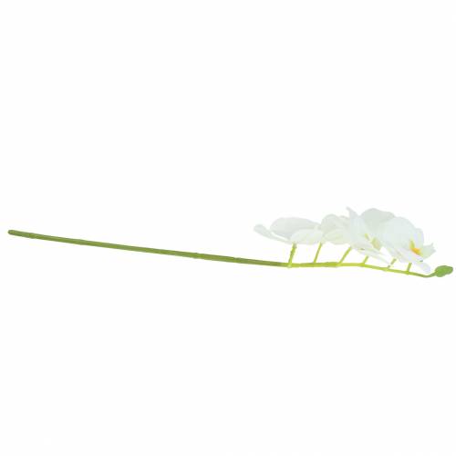 Floristik24 Orchidea sztuczna gałązka Phaelaenopsis biała H49cm