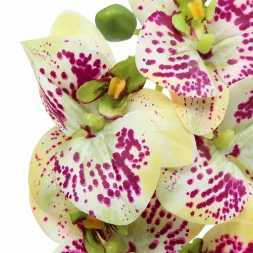 Orchidea sztuczna gałązka Phaelaenopsis zielono-różowa H49cm