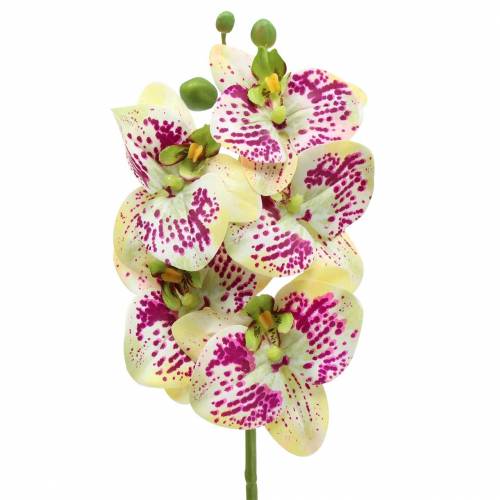 Orchidea sztuczna gałązka Phaelaenopsis zielono-różowa H49cm