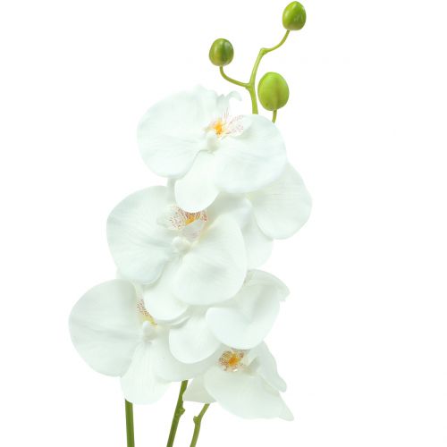 Storczyk Phalaenopsis sztuczna biel 80cm