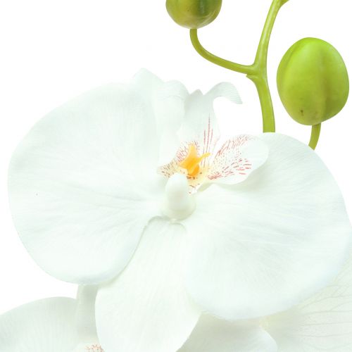 Floristik24 Storczyk Phalaenopsis sztuczna biel 80cm