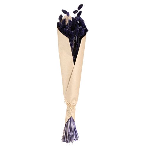 Produkt Phalaris Fioletowa Suszona Trawa Trawa Błyszcząca 50-55cm 100g