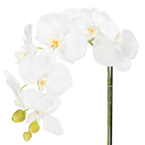 Produkt Sztuczna orchidea, łudząco realistyczna, do dekoracji biura i salonu, 62 cm