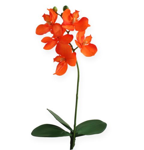 Floristik24 Sztuczna orchidea z liśćmi pomarańczowa 35cm
