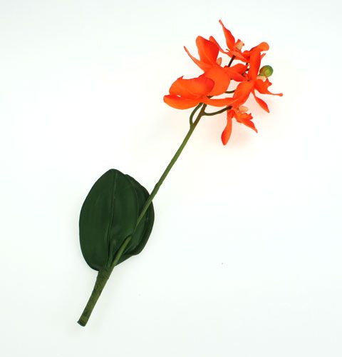 Floristik24 Sztuczna orchidea z liśćmi pomarańczowa 35cm