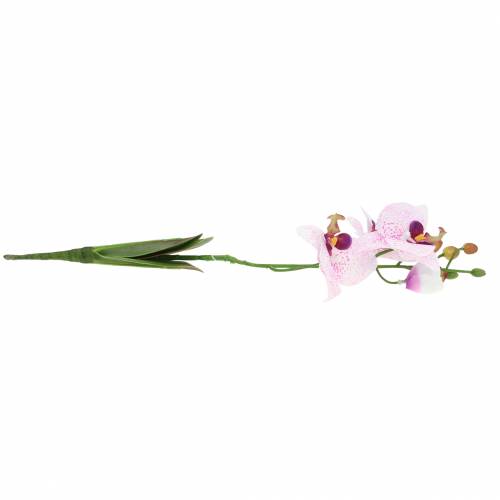 Produkt Sztuczny storczyk Phaleanopsis Biały, Fioletowy 43cm